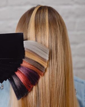 Color Customisation